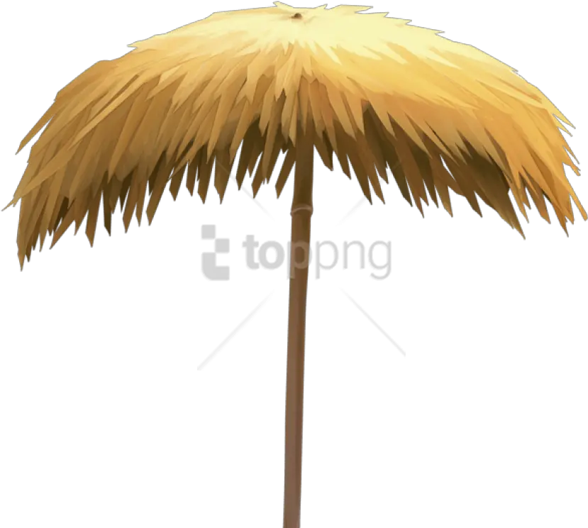  Download Free Png Straw Beach Umbrella