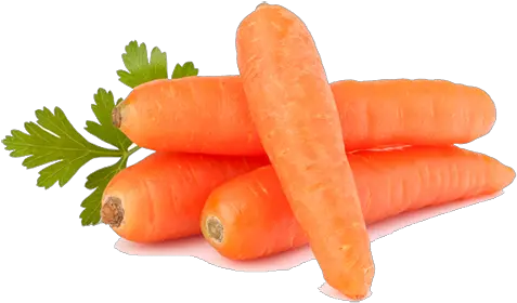  Carrots Gajar In English Png Carrots Png