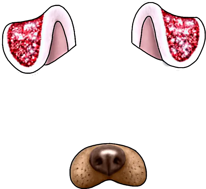  Facefilter Dogfilter Snapchat Facemask Clip Art Png Snapchat Dog Filter Png