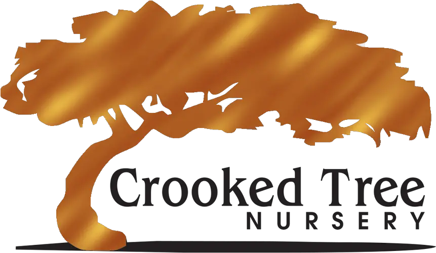  Crooked Tree Nursery Owosso Michigan Landscaping Crooked Horizontal Png Tree Logo