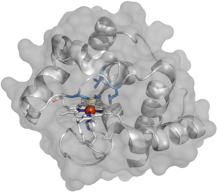  Custom Bacteria Make New Molecules Art Png Bacteria Transparent