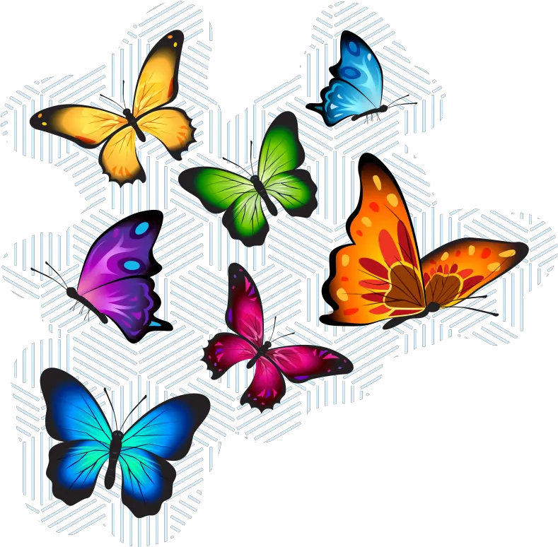  Flying Butterflies Animal Vinyl Carpet Colour Butterfly Drawing On Wall Png Flying Butterfly Png