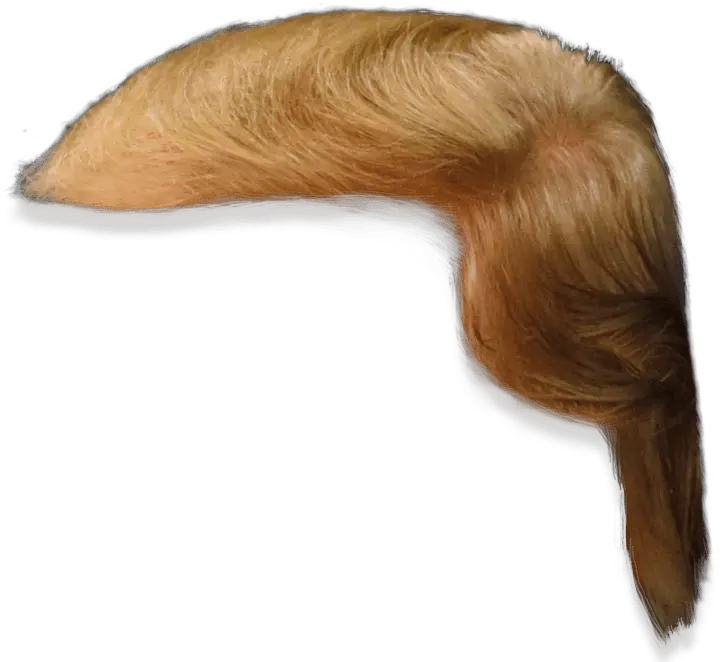  Trump Hair Transparent Png Image Trump Hair Png Trump Transparent Background