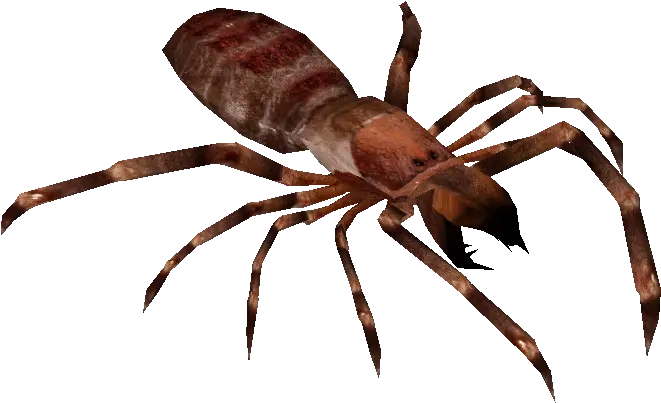  Camel Spider Tyranachu Zt2 Download Library Wiki Fandom Spider Zoo Tycoon 2 Png Spider Transparent