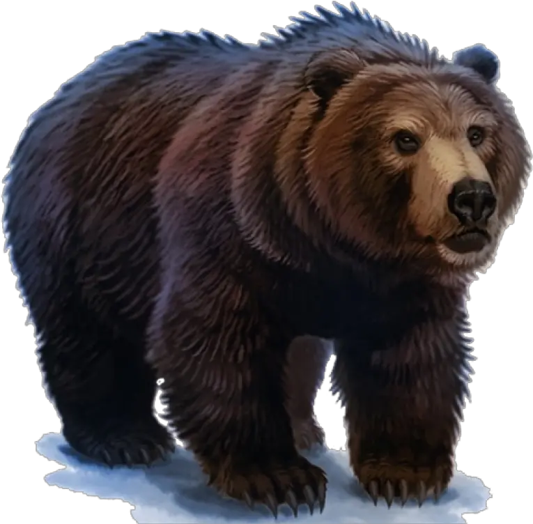  Bear Png Image Purepng Free Transparent Cc0 Png Image Bear Png Brown Bear Png