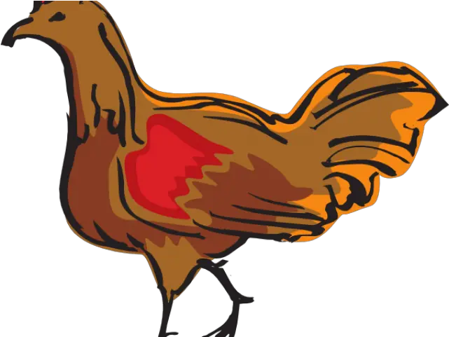  Chicken Clipart Walking Ayam Animasi Png Transparent Png Chicken Animation Png Chicken Clipart Transparent Background