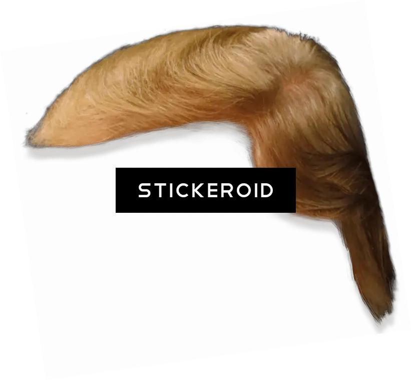  Download Donald Trump Hair Side View Lace Wig Png Donald Trump Hair Png