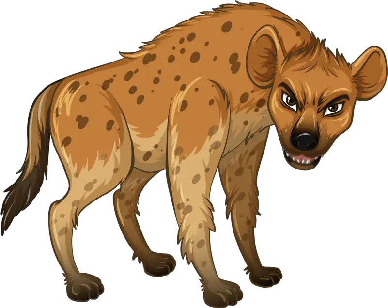  Download Hyena Wolf Wildlife Ferocious Illustration Free Rare Types Of Animals Png Hyena Png