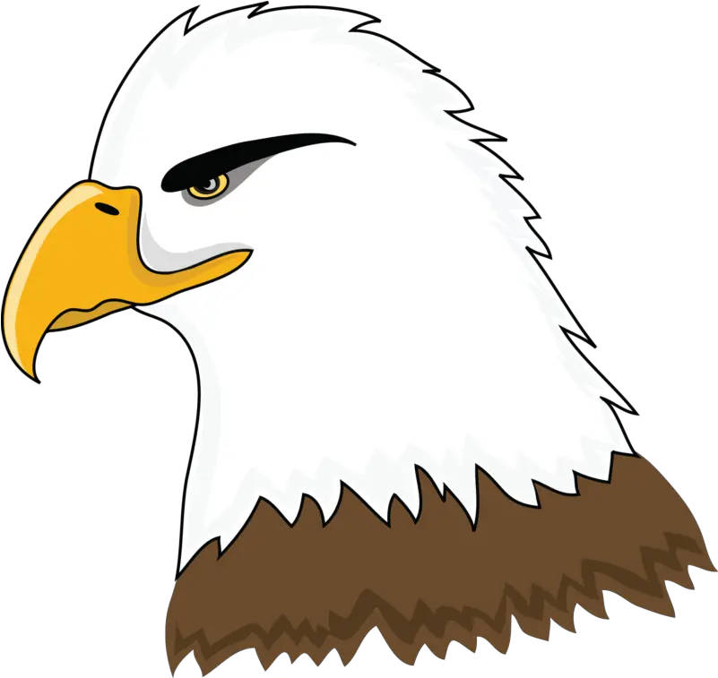  Library Of Banner Stock Bald Eagle Png Files Clip Art Bald Eagle Bald Eagle Transparent