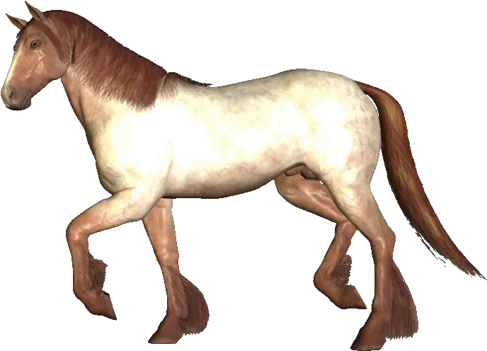  Image And Video Hosting By Tinypic Anamated Running Horse Gif Animados De Caballos Png Horse Running Png