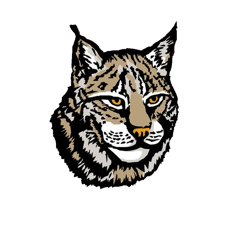  Download Lynx Png Image Lynx Png Lynx Png