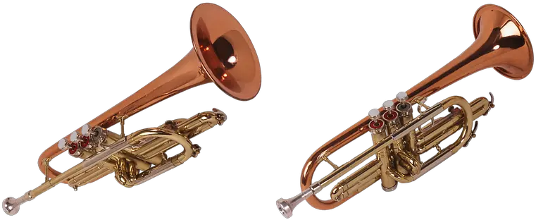  200 Free Wind Instrument U0026 Music Images Pixabay Tuba Trombone Brass Instruments Png Trumpet Transparent