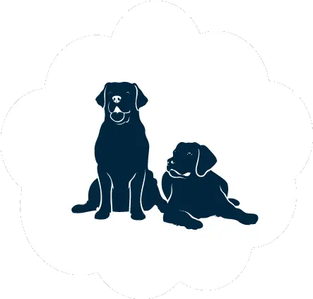  Pet Bed Selector Two Dogs Icon Transparent Png Dog Icon Transparent