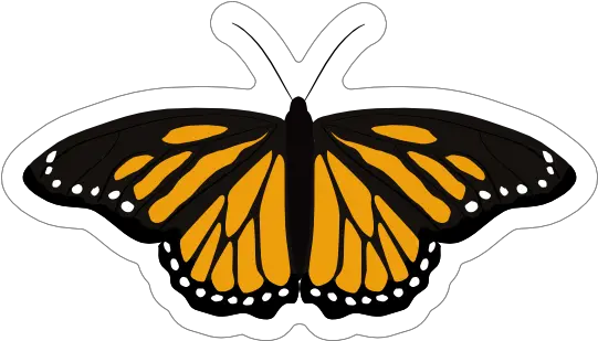  Amazing Spotted Yellow Butterfly Sticker Harry Styles Tapestry Treat People With Kindness Png Yellow Butterfly Png