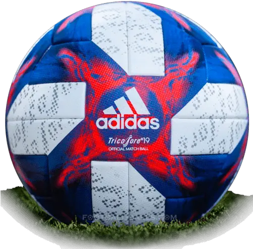  Tricolore 19 Is Official Final Match Ball Of Womenu0027s World Cup World Cup Ball 2019 Png Soccer Ball Png