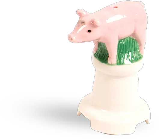  Pig Domestic Pig Png Pig Png