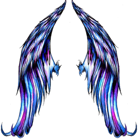  Angel Wings Religion Png 6659 Transparentpng Wings Tattoo Designs Angel Wings Transparent Background