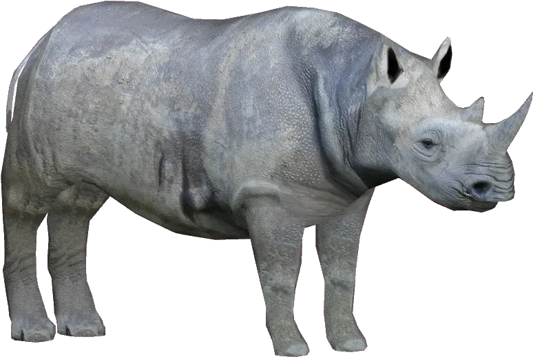  Rhino Png Transparent Background