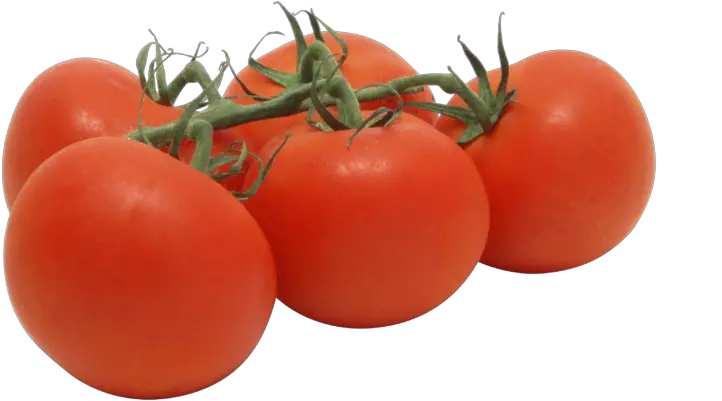  Tomatoes Levarht Vine Ripe Tomatoes Png Tomato Transparent