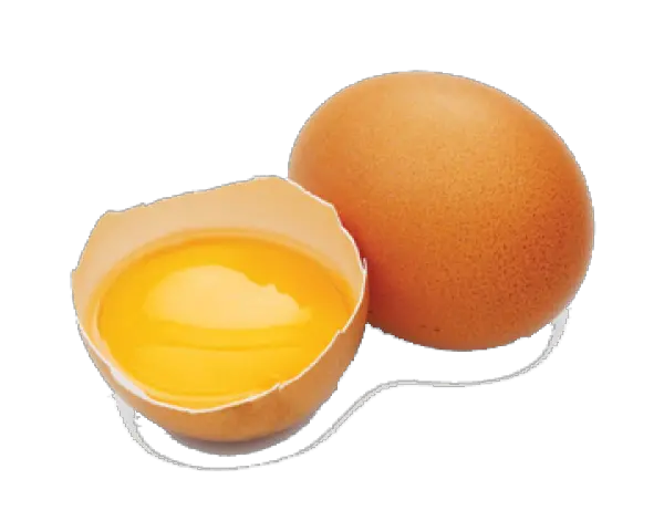  Cracked Png And Vectors For Free Cracked Egg Png Cracked Egg Png