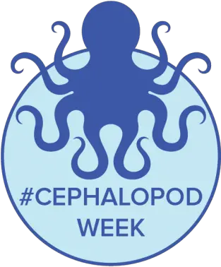  Science Fridayu0027s Cephalopod Movie Night Presented By Capital Please Do Not Taunt The Octopus Png Movie Night Png