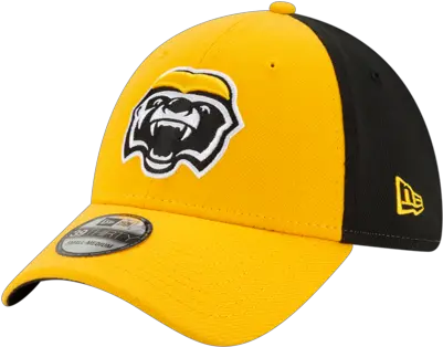  Headwear For Baseball Png Honey Badger Icon