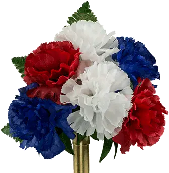 Red White And Blue Carnation Ni2195 Lovely Png Carnation Png