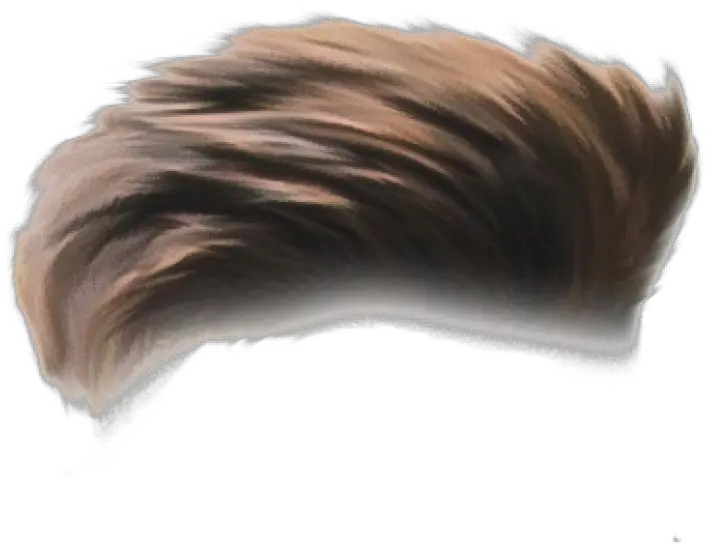  Hair Png Transparent Images Pictures Hair Png Hd Hair Png