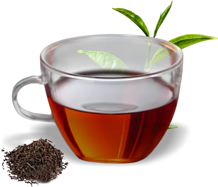  Tea Black Transparent Png Clipart Green Tea Cup Png Tea Png