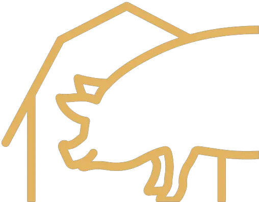  Our Services Sunterra Farms Pig Png Boar Icon