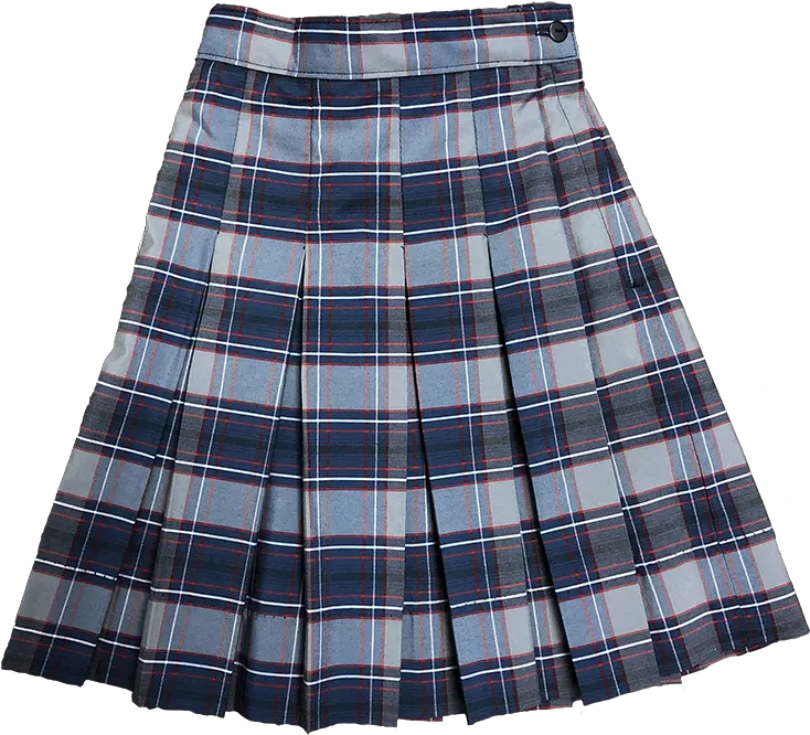  Skirt Miniskirt Png Skirt Png