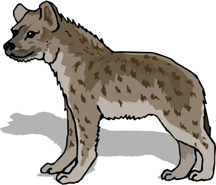  Hyena Png Hyena Clip Art Hyena Png