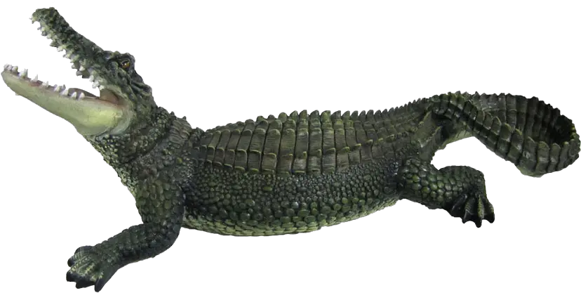  27 Crocodile Png Images Are Free To Crocodile Png Croc Png