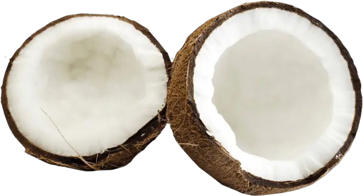  Coconut Png Image Without Background Coconut Meat Png Coconut Transparent