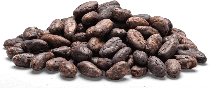  Cocoa Beans Png 3 Image Cocoa Beans Png Beans Png