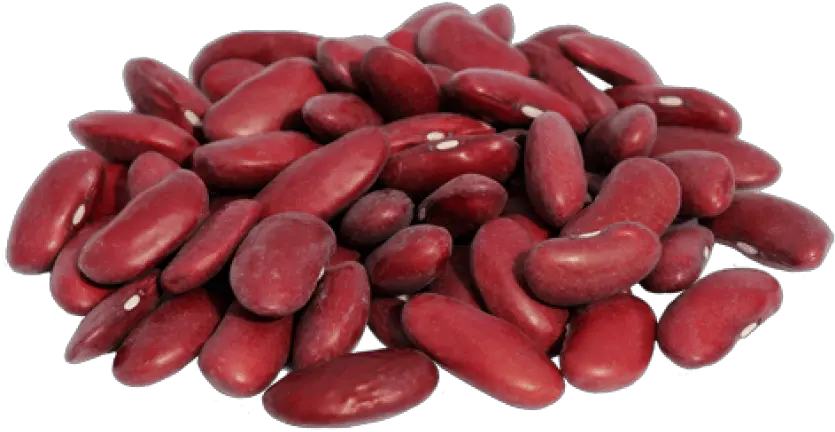  Kidney Beans Transparent Images Kidney Beans Png Beans Png