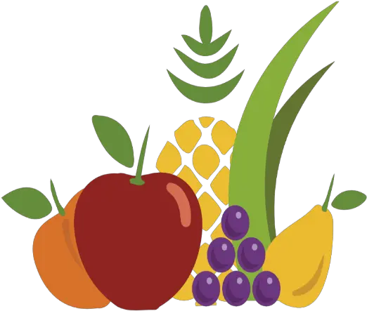  Business Giving U2013 Tagged Larger Bouquets That Fruit Place Mix Sabores De Oaxaca Sa De Cv Png Fruits And Vegetables Icon