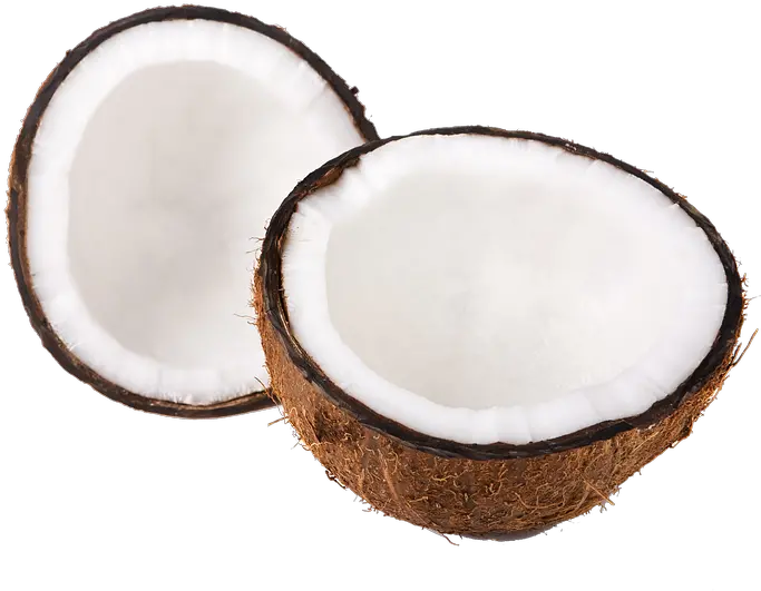  Coconut Half Inside Coconut Png Coconut Png