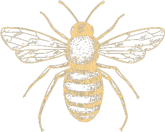  Bloom Honeybee Png Bee Png