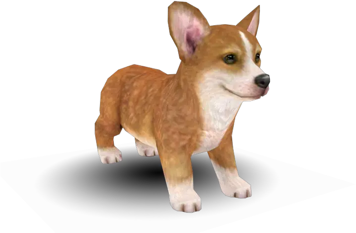  3ds Nintendogs Cats Pembroke Welsh Corgi The Models Pembroke Welsh Corgi Nintendogs Png Corgi Png