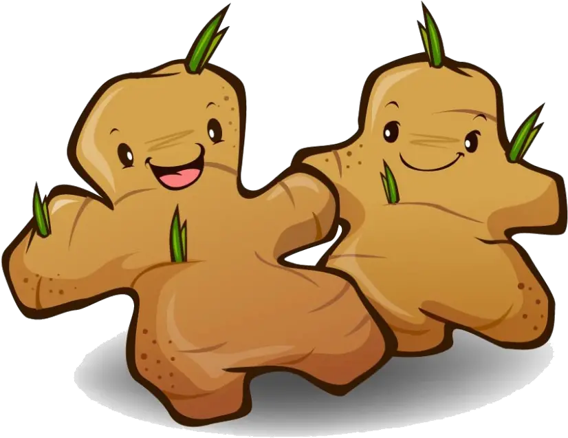  Ginger Cartoon Ginger Animated Clipart Full Size Clipart Vegetable Ginger Cartoon Png Ginger Png