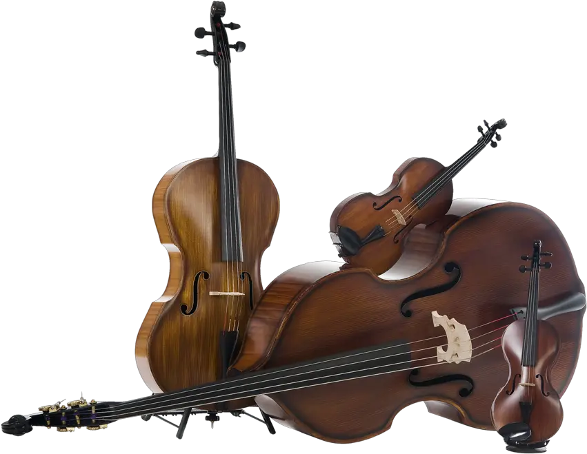  Ricci Carbon Instruments High Class Orchestra And Concert Free Images Orchestra Instruments Png Instruments Png