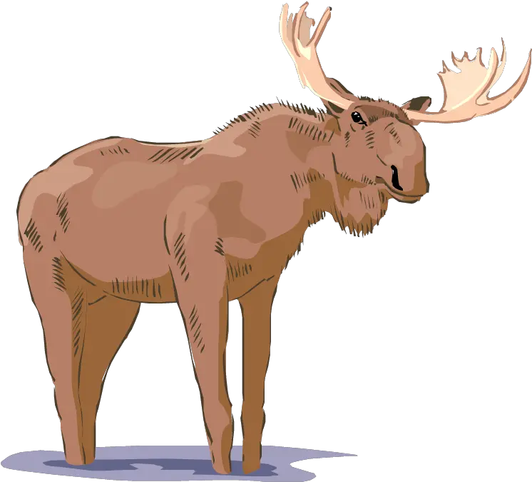  Download Free Moose Png Clipart Free Moose Clipart Moose Silhouette Png