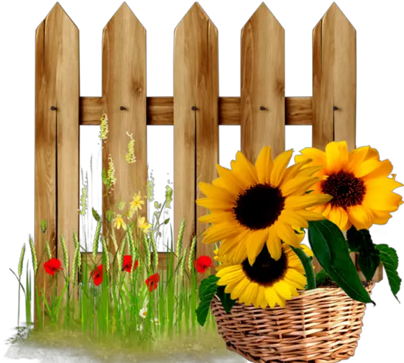  Fence Clipart Sunflower Transparent Free Sunflower Fence Clipart Png Sunflower Clipart Png