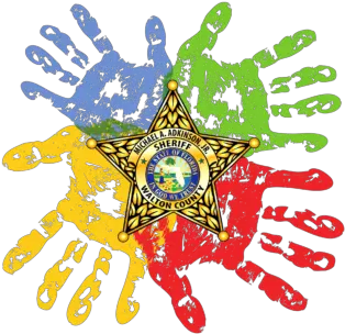  Child Protective Investigations Walton County Sheriffu0027s Child Protective Investigator Florida Png Handle With Care Icon