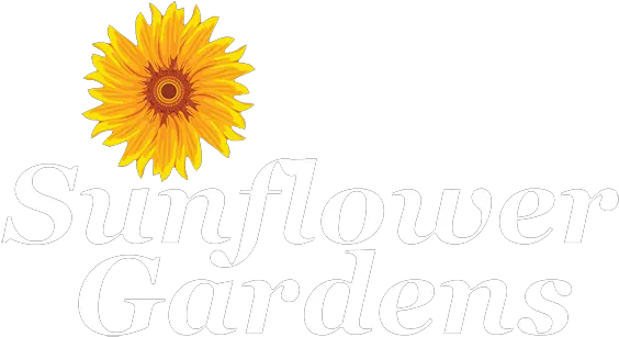  Sunflower Gardens An Alzheimers Angela Png Sunflower Logo