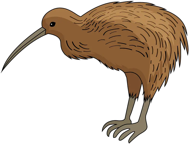  Kiwi Bird Clipart Free Download Transparent Png Creazilla Kiwi Bird Clipart Bird Clipart Png