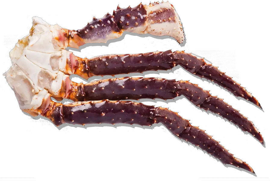  Frozen Raw King Crab Cluster Raw King Crab Legs Png Crab Legs Png