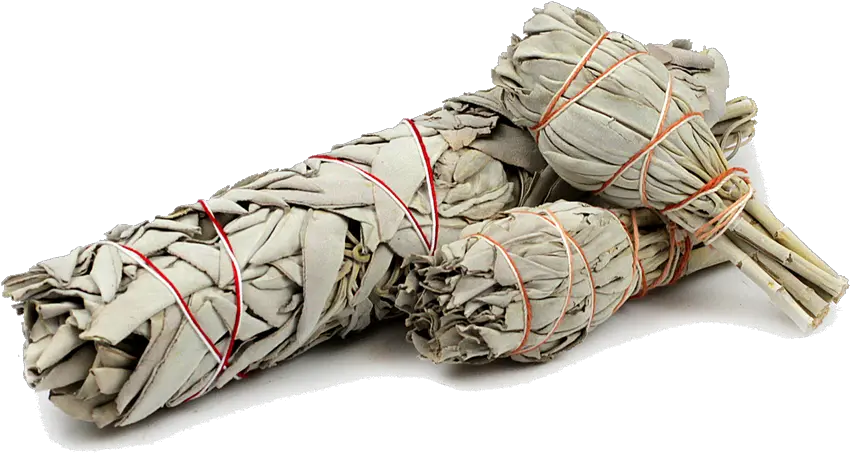  Download White Sage Smudge Stick Sage Smudge Png Sage Png