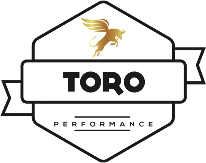  Toro Performance Free Logo Mockup Sea Png Toro Png